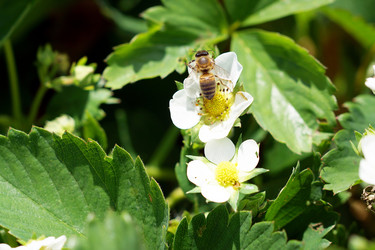 Similar image 7218317