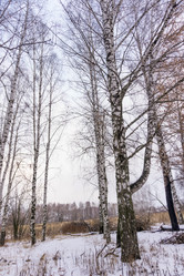 Similar image 7218970