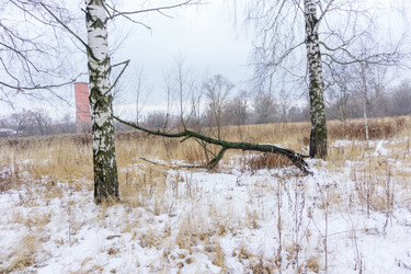 Similar image 7218980