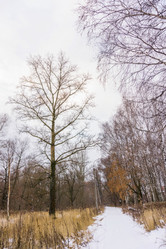 Similar image 7218993