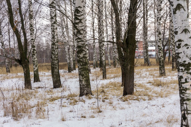 Similar image 7218996