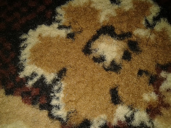 Similar image 7219048