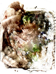 Similar image 7219212