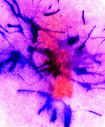 Similar image 7219215