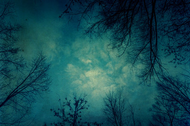 Similar image 7219314