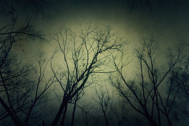 Similar image 7219353