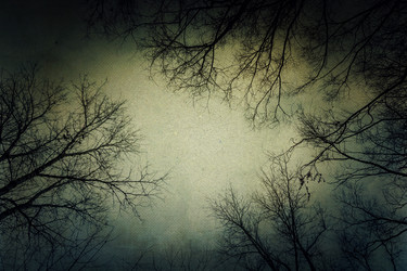 Similar image 7219366