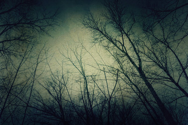 Similar image 7219367