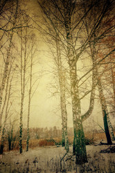 Similar image 7219368