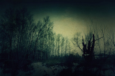 Similar image 7219370