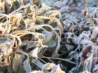 Similar image 7219403