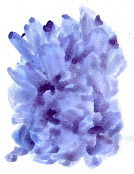 Similar image 7219446