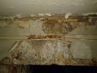 Similar image 7219448