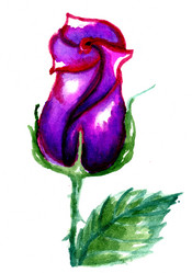 Similar image 7219450