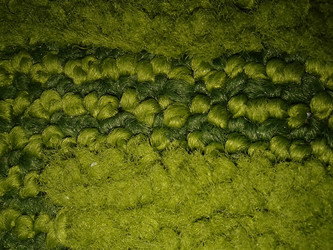 Similar image 7219451