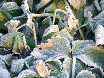 Similar image 7219464