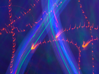 Similar image 7219466