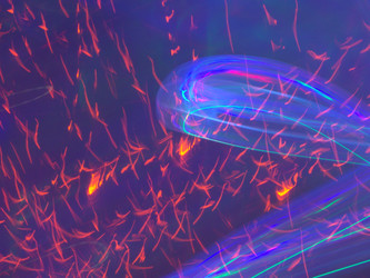 Similar image 7219469