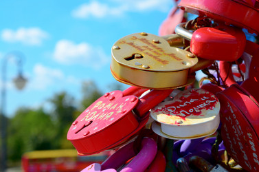 Similar image 7226538