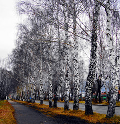 Similar image 7227893