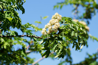 Similar image 7227901