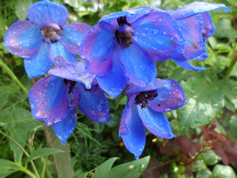 Similar image 7227902