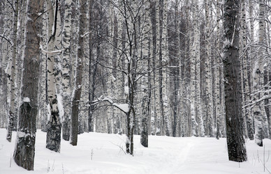 Similar image 7228066