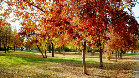 Similar image 7228262