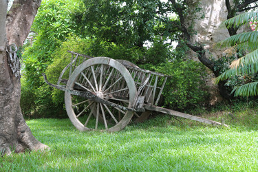 Similar image 7253835