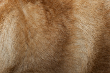 Similar image 7254153