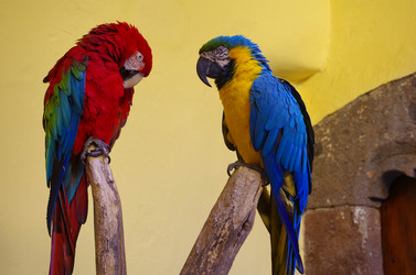 Similar image 7254252