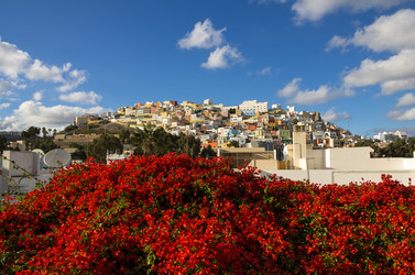 Similar image 7254253