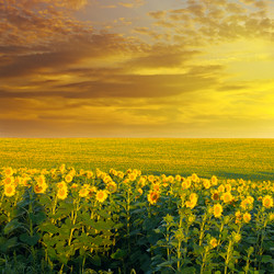 Similar image 7254362