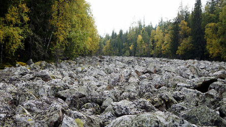 Similar image 7254415