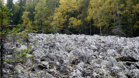 Similar image 7254417