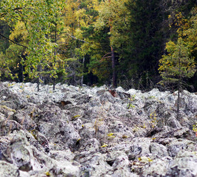 Similar image 7254418