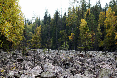 Similar image 7254487