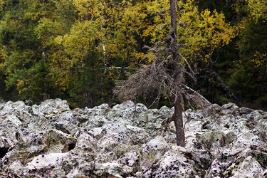 Similar image 7254488