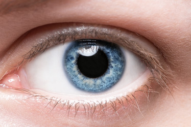 Similar image 7254696