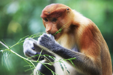 Similar image 7254781