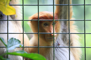 Similar image 7254782