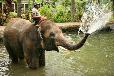 Similar image 7254788