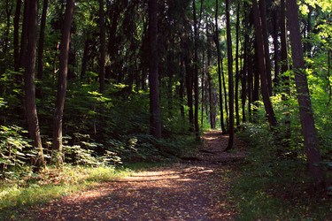 Similar image 7254843