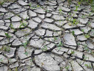 Similar image 7255010