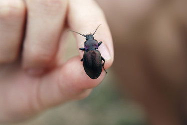 Similar image 7255024