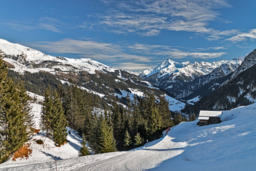 Similar image 7255037