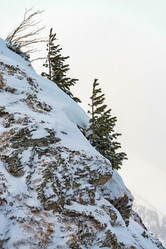 Similar image 7255047