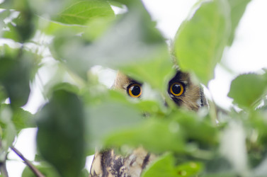 Similar image 7255095