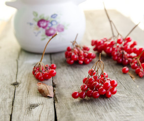 Similar image 7255103