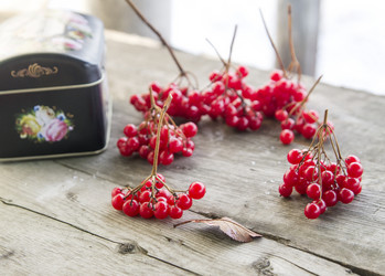 Similar image 7255106